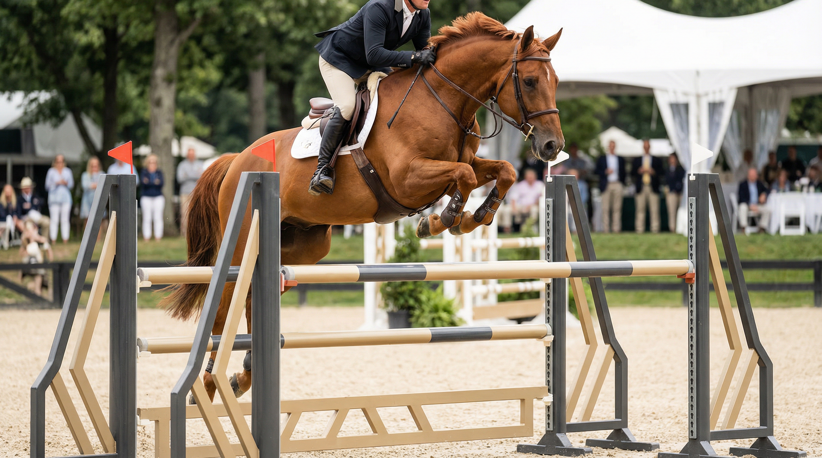 Elegantes Springpferd im Sprung über ein modernes Hindernis, Fokus auf Dynamik und Eleganz